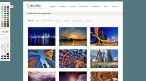 dandelionportfoliogallery