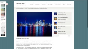 dandelionportfolioshowcase